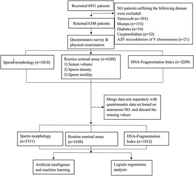 Preliminary prediction of semen quality based on modifiable lifestyle factors by using the XGBoost algorithm